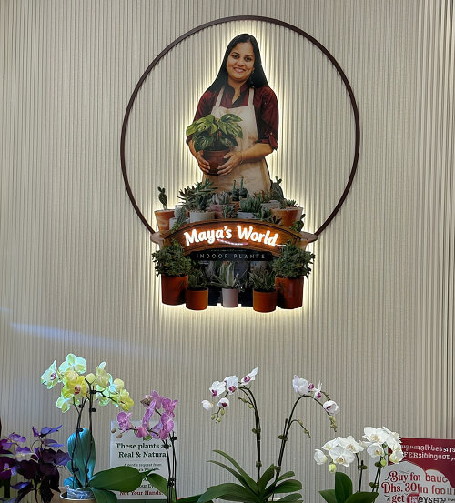 Maya holding a potted plant at the Maya's World boutique