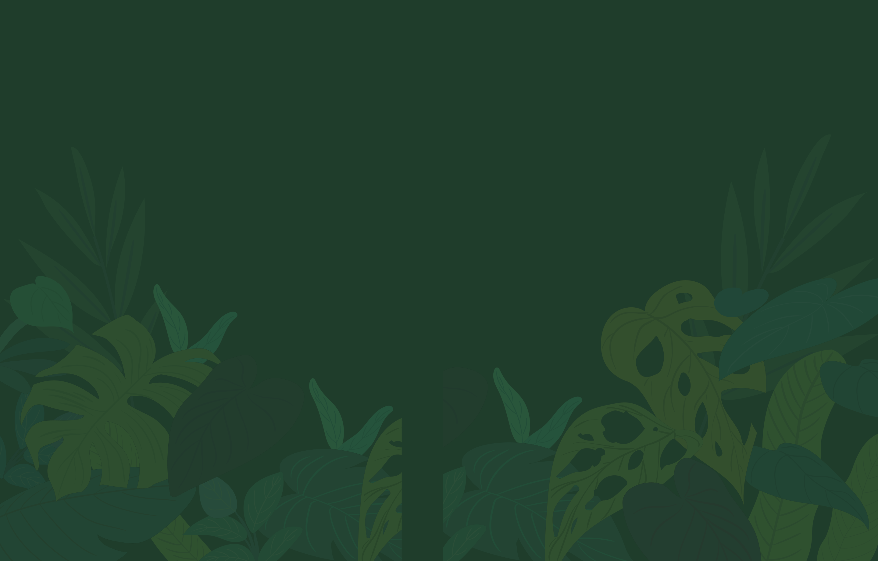 bg_image